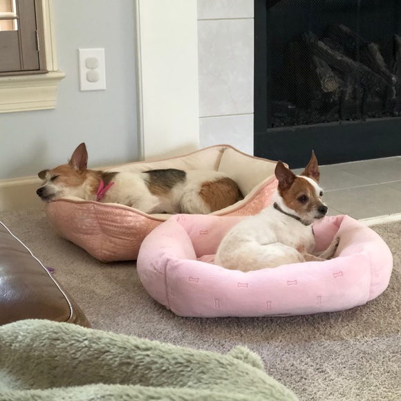 Meet your Posher, Lynette - Picture 2 of 2